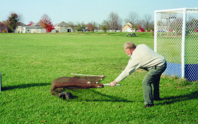 Flashback: Groundhogs and Peanut Butter