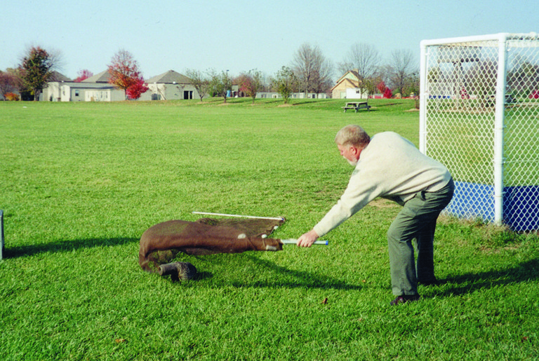 Flashback: Groundhogs and Peanut Butter